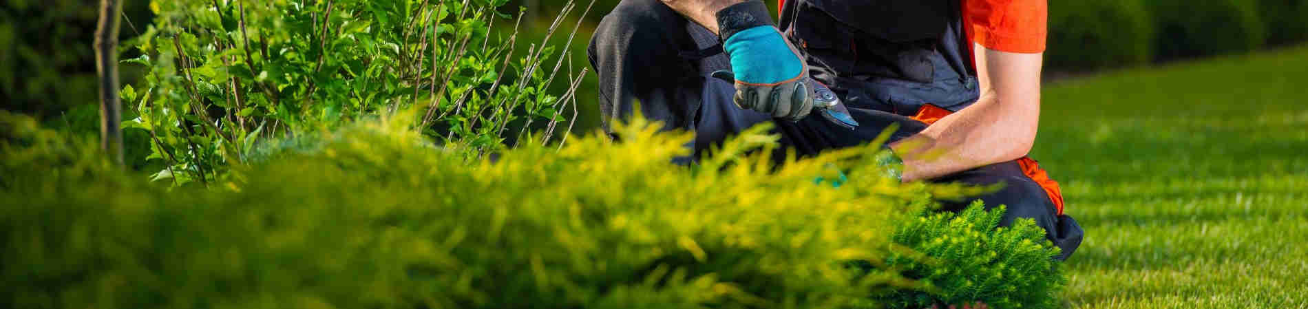 Instalación de Pasto Sintético