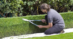 ¿Cuánto cuesta mantener un jardín?