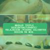 sesion de masaje triple 28.000