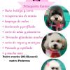 Andrea Caroly Flores Bravo