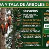 Servicio Integral