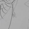 Boceto