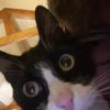 tom Y yo