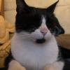 Tom durmiendo