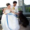 Fotografo De Eventos