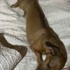 Facundo