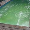 Construcciones Los Salinas Spa.