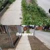 Desmalezado y aplicación de líquido matamaleza en domicilio