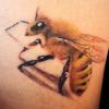 Rayarte Tattoo Studio