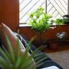 Consulta particular