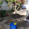 Bomba Espalda