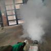 Termo nebulizando en galpones