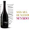 Ulter Wines - Branding
