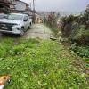 Corte De Pasto Y Poda