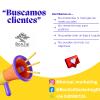 Bonzai  Agencia De Marketing Digital