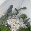Jardines Del Sol Spa