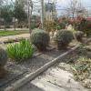 Jardines Del Sol Spa