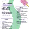 Glowpro Servicios Integrales Spa