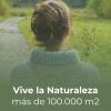 Publicidad RRSS