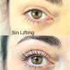 Lifting   Tinte de Pestañas