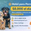 Hotel para Perritos!!