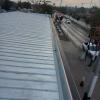 Max Constructora