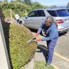 Mantencion de jardines, podas fertilizaciones
