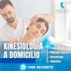 Kinesios Kinesiología Y Rehabilitación