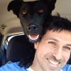 Servicios Veterinarios Para La Convivencia Responsable Con Animales De Compañía