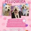 Colita Feliz Peluquería