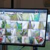 Camaras cctv