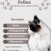 Leyla