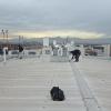 Don Construcciones
