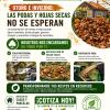 Ecoproyectos