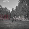 Mc Intosh Arquitectos