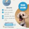 Peludos Y Felices