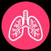 Kinesiología Respiratoria