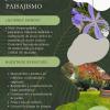 Ginkko Jardinería Y Paisajismo