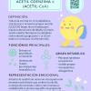 Estudio Creativo Girasol