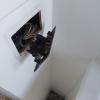 REPARACIONES