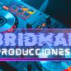 Dj Mr Pitch