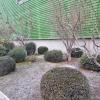 Miba Jardines