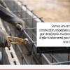 R Y Asociados Spa