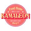 Logo Kamaleon