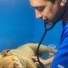 Dr. Rodrigo Osses