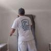 Maestro Pintor