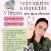 Servicios veterinarios