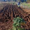 Topografía  Y Actividades De Apoyo A La Agricultura