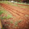 Topografía  Y Actividades De Apoyo A La Agricultura