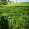 Topografía  Y Actividades De Apoyo A La Agricultura